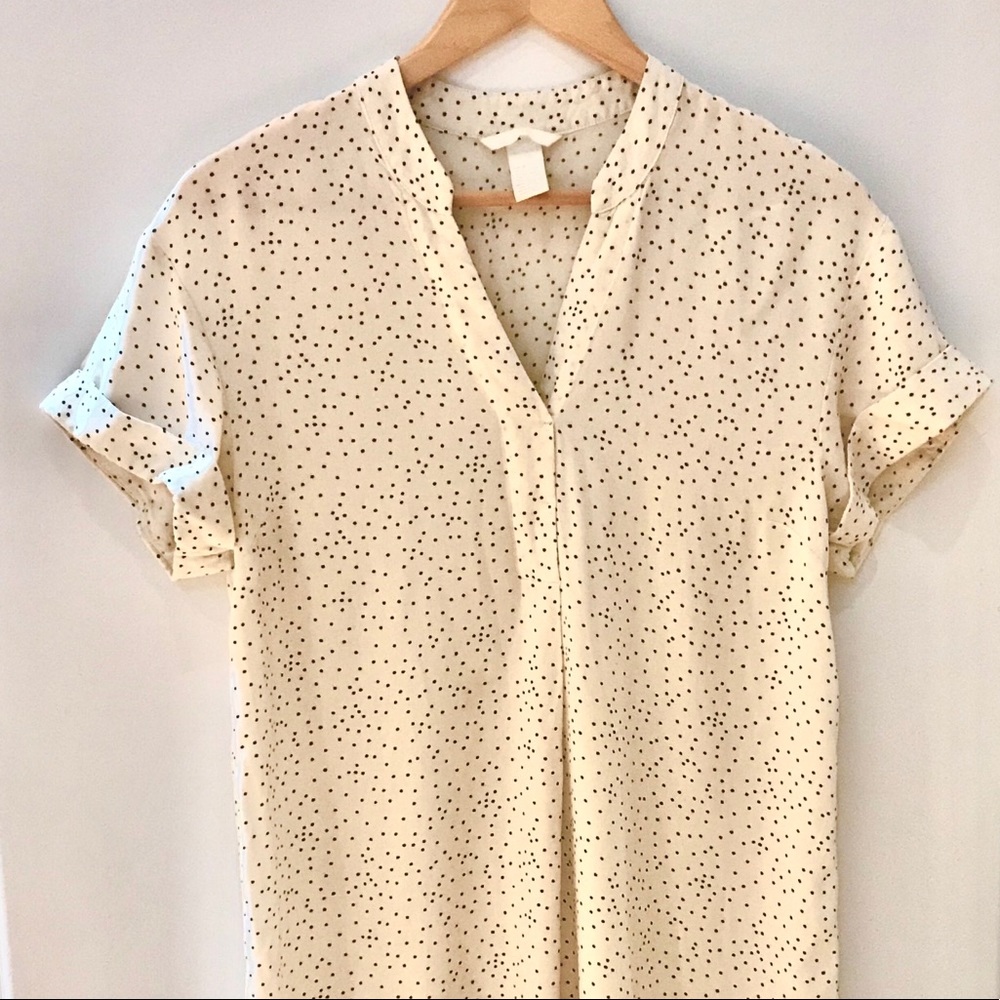 H&M Polka Dot Dress